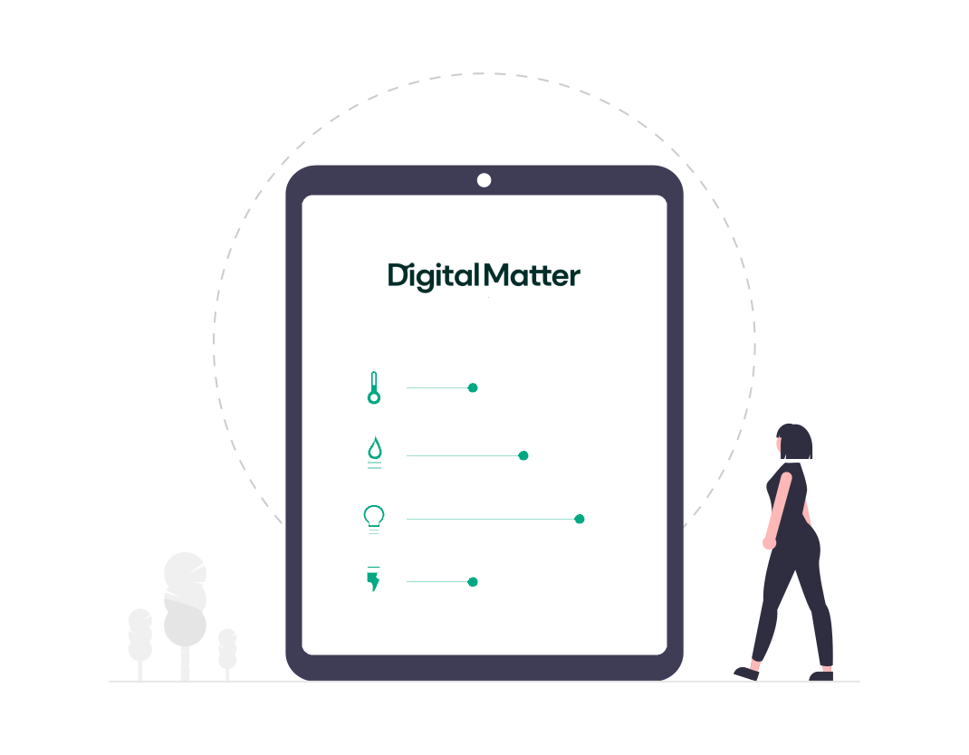 Digital Matter vienkartinės SEO paslaugos